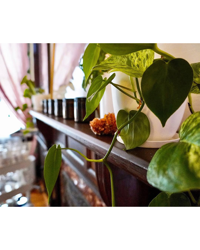 Modern Hormone and Wellness, LLC | clinic pictures